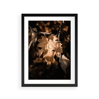 Plakat w ramie 50x70 - Uroczy Liść na Drzewie - jesienny liść, żółty liść na drzewie - rama czarna