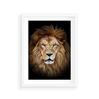 Plakat w ramie 30x40 - Król zwierząt w majestatycznym stylu - lew, król - rama biała