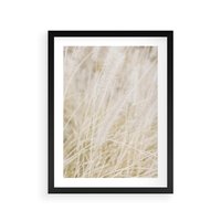 Plakat w ramie 50x70 - Białe Trawy Pampas - suche trawy, białe trawy - rama czarna