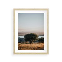 Plakat w ramie 50x70 - Siła Natury - drzewo, pejzaż - rama drewno