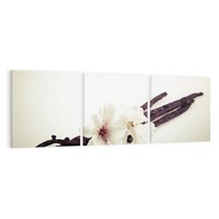 Obraz na płótnie 120x40 - Czuła delikatność wanilii - wanilia, kwiaty