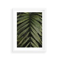 Plakat w ramie 30x40 - W Liściach Ukryte - zdjęcie, fotografia - rama biała